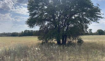 Lot 8 Blue Lacy Lane, Anson, TX 79501