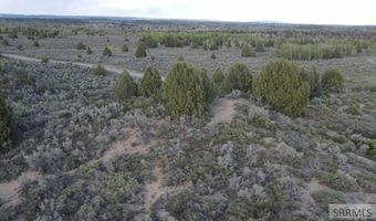 TBD 40 AC Arcadia Road, Ashton, ID 83440