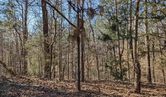 0 Lot 243 WINFREY Ln 243, Anniston, AL 36206