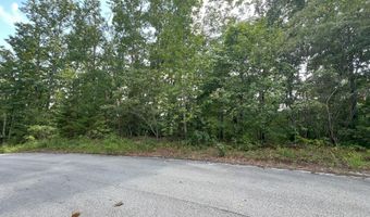 Bayside Boulevard lot 14, Bean Station, TN 37708
