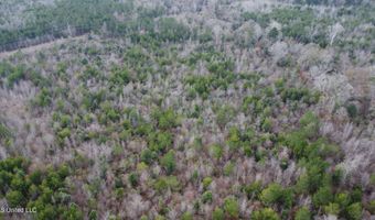 Saint John Road, Braxton, MS 39044