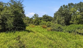N Highway 5, Ava, MO 65608
