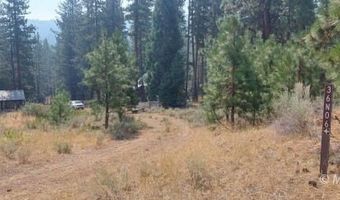 40 Acres Off 36N06, Adin, CA 96006