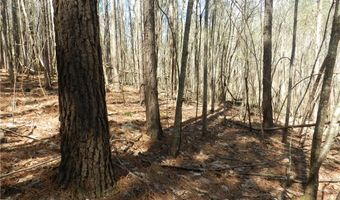 Tbd Oakland Avenue, Asheboro, NC 27205
