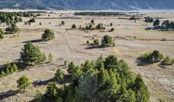 10201 Packsaddle Rd, Cascade, ID 83611