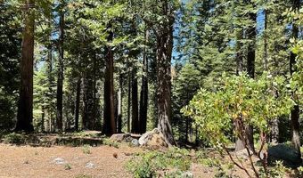 1619 Shoshone Dr, Arnold, CA 95223