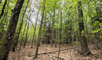 Stewart Road, Addison, NY 14801
