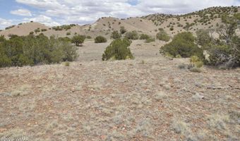 88 B County Road 5035, Concho, AZ 85924