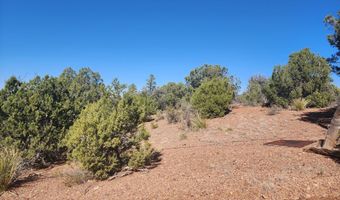 Tbd State Route 260, Clay Springs, AZ 85923