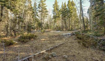1004 And 1005 El Camino Real, Angel Fire, NM 87710