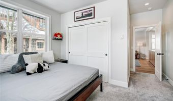 125 Rachel Ln, Breckenridge, CO 80424
