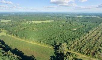 0 County Home Rd, Ayden, NC 28513