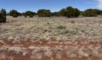 38 CR 8250, Concho, AZ 85924