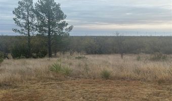 430 CR 150, Abilene, TX 79601