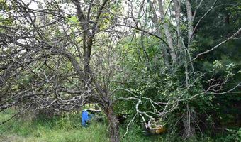 9537 LAKEVIEW, Alanson, MI 49706