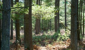 5840 Wildwood Rd, Alger, MI 48610