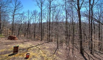 497 Cherokee Trl, Ball Ground, GA 30107