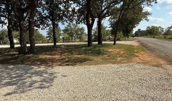 153 Cattail Trl, Millsap, TX 76066