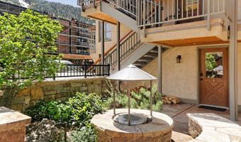 630 E Cooper Ave 1, Aspen, CO 81611