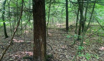 Cr-38, Alma, NY 14708