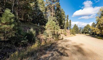 Back Basin Rd lot 145, Angel Fire, NM 87710