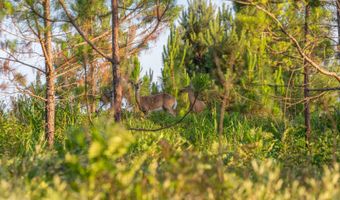 8830 County Road 57, Abbeville, AL 36310