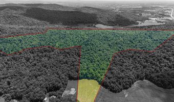 0 McKinley Guffey, Albany, KY 42602