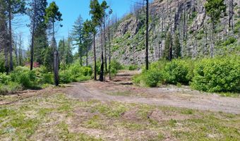 52984 MCKENZIE Hwy, Blue River, OR 97413