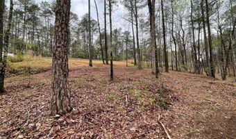 LOT 3 SHORESIDE AT SIPSEY, Double Springs, AL 35553