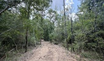 SE Lee Drive, Bogue Chitto, MS 39629