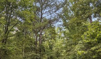 Pine Lodge Road, Batesville, MS 38606