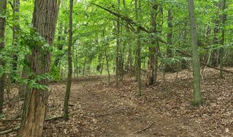 65 Acres 107th Ave, Allegan, MI 49010