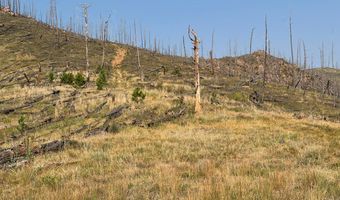 Pine Acres Rd, Bellvue, CO 80512
