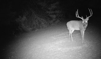 2042 E 1980, Antlers, OK 74523