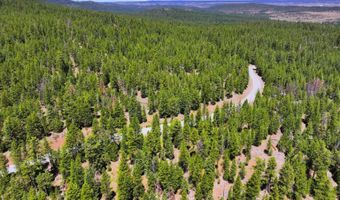 7783 California Pines Blvd, Alturas, CA 96101