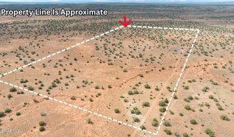 39 N5362 Rd, Concho, AZ 85924