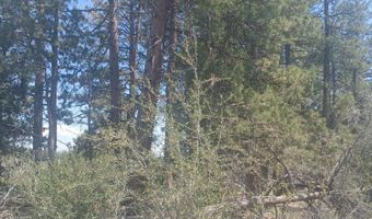 Toddy Drive Lots 18,19,&20, Beatty, OR 97621