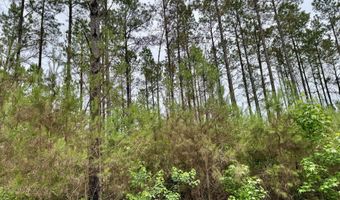 Mount Carmel Road, Bailey, MS 39320