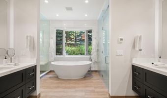 971 Ute Ave, Aspen, CO 81611