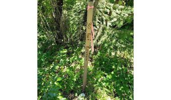 492 Sleepy Hollow Rd, Appleton, WA 98602