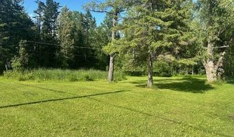4541 Cathro Rd, Alpena, MI 49707