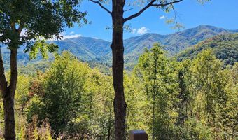 248 Hillside Ln, Andrews, NC 28901
