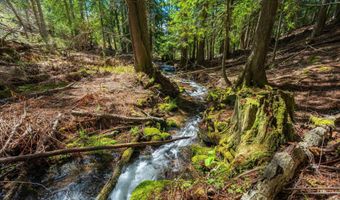 1142 Salee Creek Rd, Bayview, ID 83803
