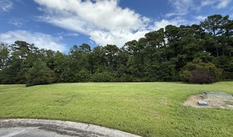 61 Edna Ct Lot 70, Arapahoe, NC 28510
