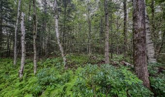 Johnson Rd lot 9, Becket, MA 01223