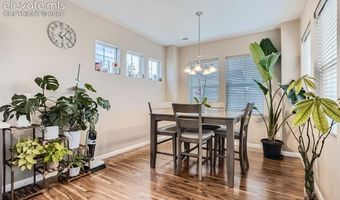 806 White Crow St, Aurora, CO 80018