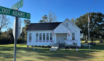 20 Ac Coot Adams Rd, Ashford, AL 36312