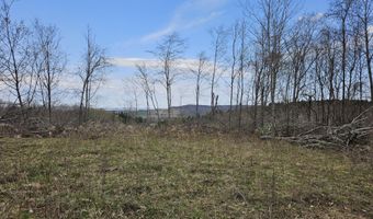 295 Shellstone Rd, Amsterdam, NY 12010