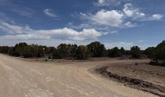 5 County Road 8077, Concho, AZ 85924