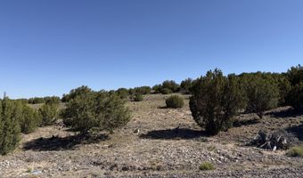Lot 49 Windsor valley Ranch Drive, Concho, AZ 85924